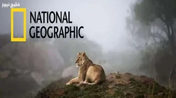 تردد قناة ناشيونال جيوغرافيك 2025 مع طريقة استقبال البث الجديد بأعلى جودة